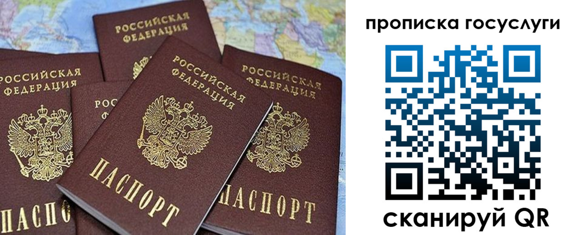 прописка регистрация в Калининграде
